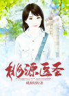 桃源医圣叶小凡全文免费阅读