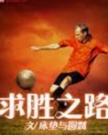 求胜之路小说足球小说
