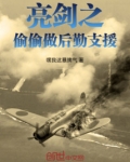 写亮剑之后勤制造的小说