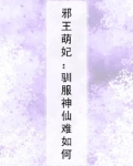 邪王训妃