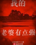 我的老婆有点强