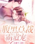 腹黑总裁霸道宠:老婆,太腹黑
