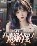 我走后你别走难过什么歌