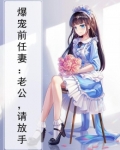 《爆宠前妻:老公,不可以》