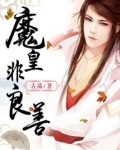 天帝和龙女的小说