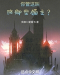 你管这叫防御型领主顶点