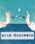 宠入心扉：黑化老公疼妻无度