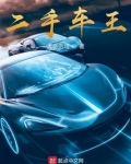 新疆二手车网