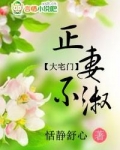 大宅门：正妻不淑