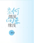 奈何情深向来缘浅