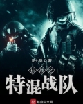 抗战之特混战队 正七品
