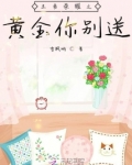王者荣耀黄金下一个段位是什么