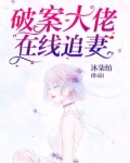 破案大师