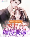 封少离婚套路深