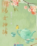 御赐女神捕