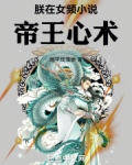 朕在女频小说帝王心术