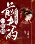 重生后我成了前夫的小舅娘下载