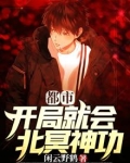 开局获得北冥神功陈凡