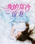 我的高冷前妻 不惑之