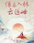 倦鸟投林