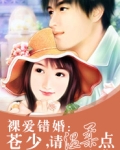 错爱免费全文