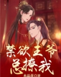禁欲王爷总撩我