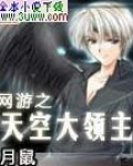 网游之天空大领主 笔趣阁