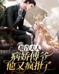 报告夫人傅总又来求复婚了完结版
