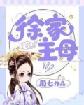 徐家主母小说好看吗