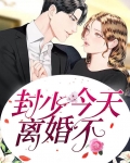 封少,今天离婚不 百度网盘