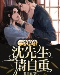 一夜惊喜沈先生晚安免费阅读