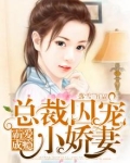 霸爱有瘾总裁的囚宠全文下载