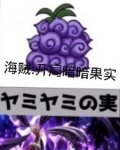 海贼之开局暗暗果实