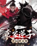 三国:袁家逆子,开局摔玉玺(公子小易)