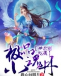 极品魂蛋