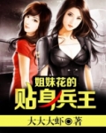 姐妹花的贴身兵王女主