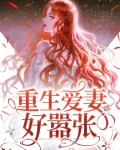 重生后王妃更嚣张了