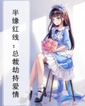 半缘邂逅:总裁劫爱