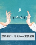 《炽焰总裁樱桃妻》