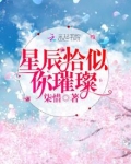 星辰恰似你璀璨TXT下载