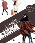 离婚向左,幸福向右免费阅读
