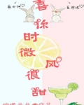 喜欢你时风微甜 小说