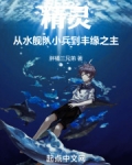 精灵：从水舰队小兵到丰缘之主