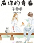 有你的青春是甜的歌词