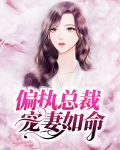 偏执总裁宠妻成瘾