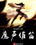 魔笛声乐谱