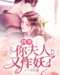 四爷,你夫人又作妖了结局是啥