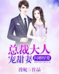 闪婚厚爱穆少宠妻无度
