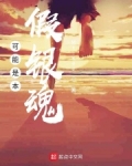 可能是本假银魂