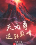 天元尊逆转巅峰